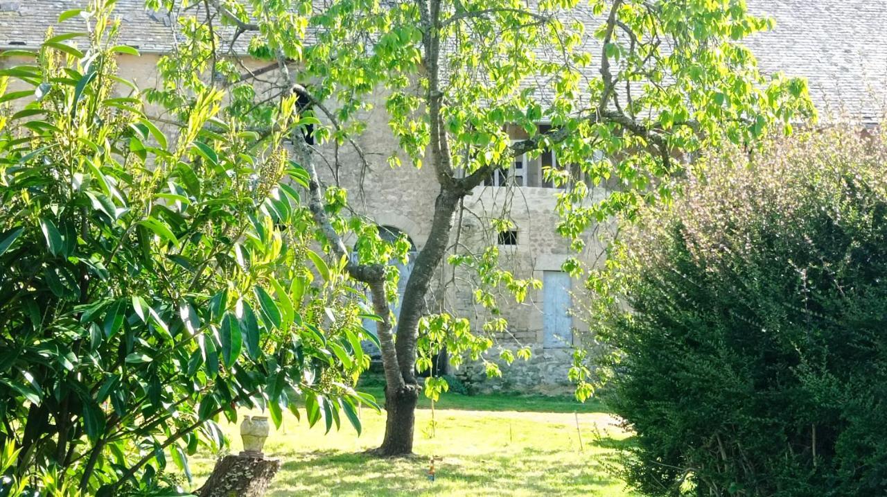 Maris Domus Pres Des Plages Du Debarquement Bayeux Exterior photo
